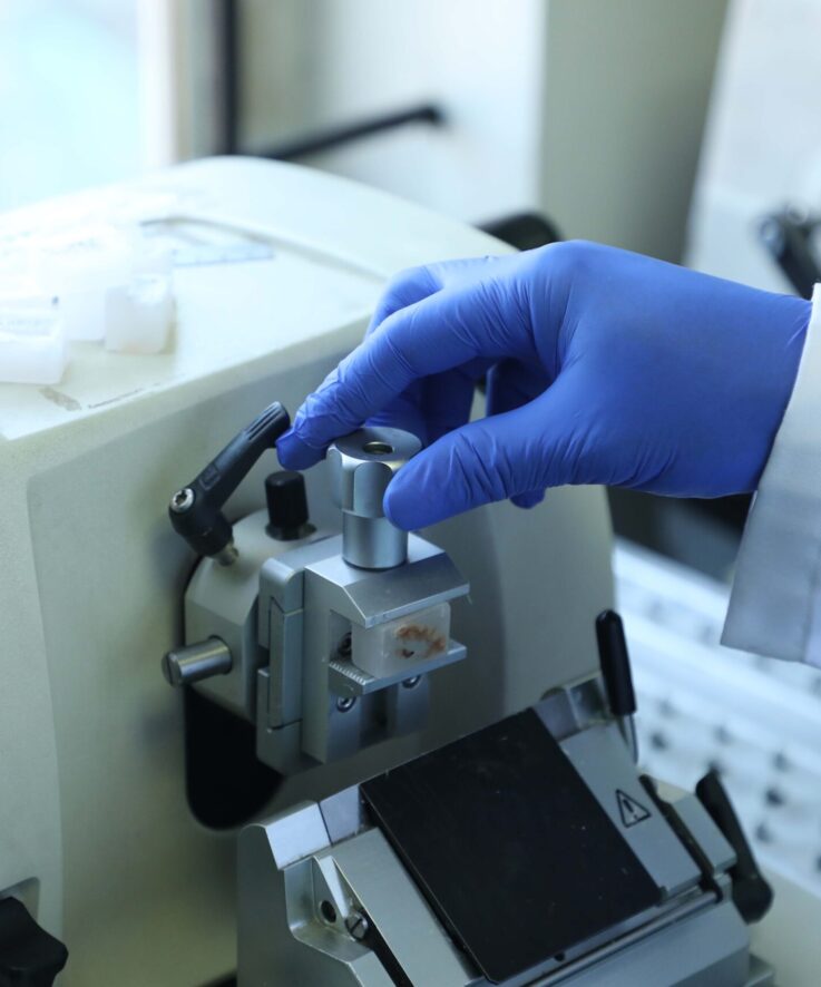 Homepage - Banner Image